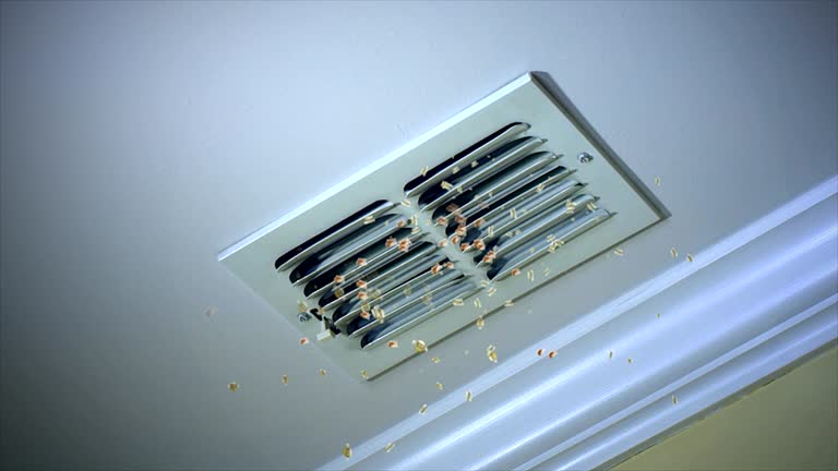 Best Professional Duct Cleaning Services  in Northwoods, MO